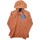 Textil Mulher Sweats The North Face Sweat à capuche  Hoodie Ouro