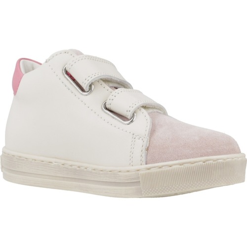 Falcotto CIRY VL Rosa