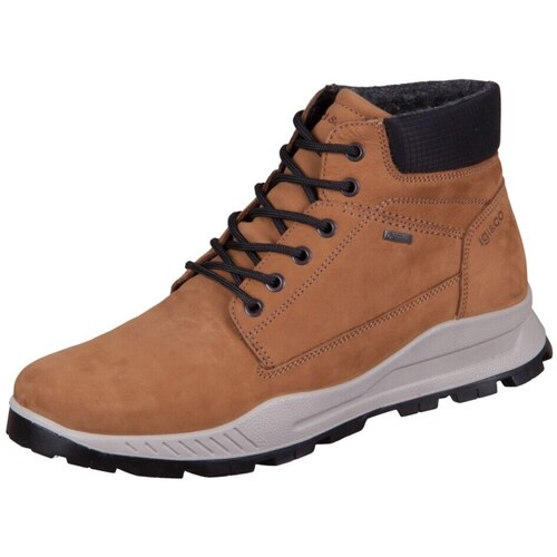 Sapatos Homem Botas baixas IgI&CO Eloy Gtx Castanho