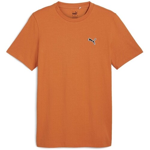 Textil Homem T-Shirt mangas curtas Puma Better Essentials Tee Laranja