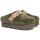 Sapatos Mulher Tamancos Scholl GRETA FOREST Verde