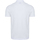 Textil Homem Polos mangas curta Colmar  Branco