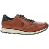 Sapatos Homem Sapatilhas Bugatti 331APA0241006300 Castanho