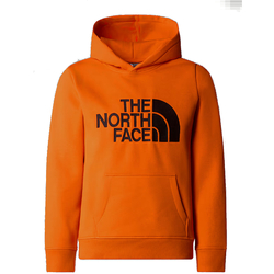 Textil Rapaz Sweats The North Face NF0A89HH Laranja