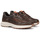 Sapatos Homem Sapatilhas Fluchos F2069 Castanho