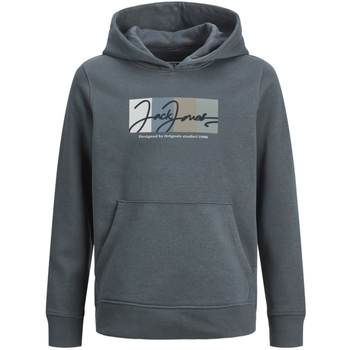 Jack & Jones 12263294 JORPORTLAND BLOCK BRANDING SWEAT H JNR FOREST RIVER