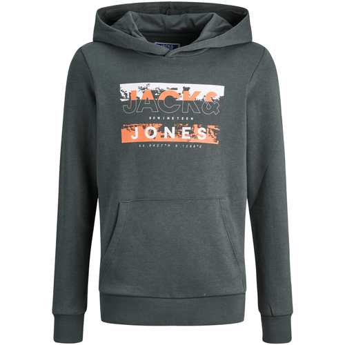 Textil Rapaz Sweats Jack & Jones 12271369 JCOKONTA SWEAT HOOD FST JNR URBAN CHIC Verde