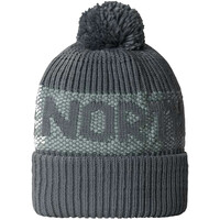 Acessórios Chapéu The North Face NF0A88QW Cinza