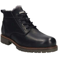 Sapatos Homem Botas baixas Salamander  Preto