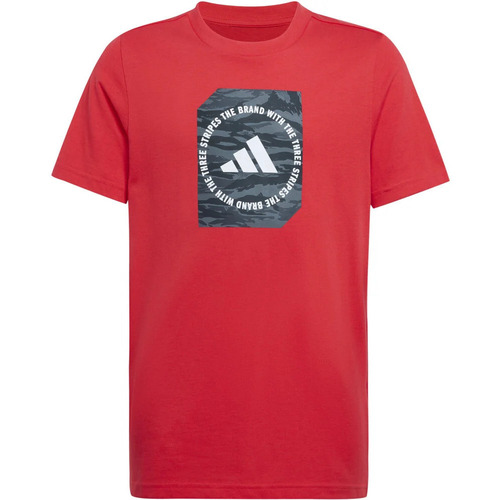 Textil Criança Polos mangas curta adidas Originals B CAMO BOX Vermelho