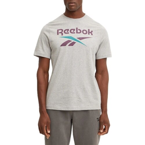 Textil Homem T-Shirt mangas curtas Reebok Sport 100206031 Cinza