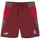 Textil Homem Shorts / Bermudas Puma  Vermelho