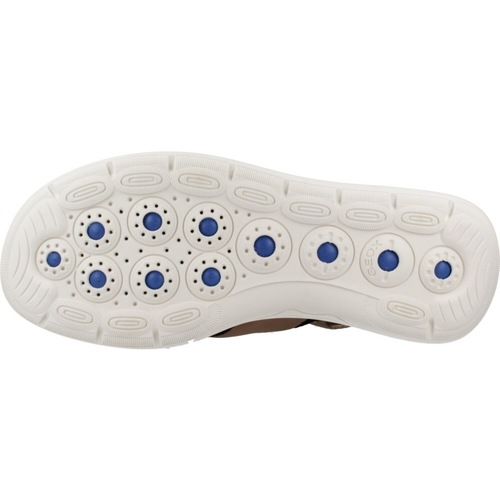 Geox D SPHERICA EC5 Castanho