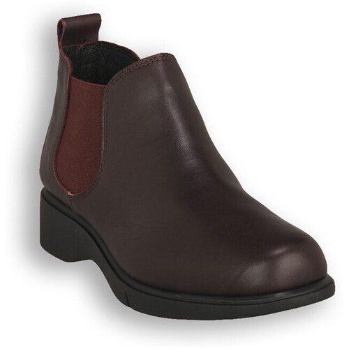 Sapatos Mulher Botins Frau Tivoli Ebano Castanho