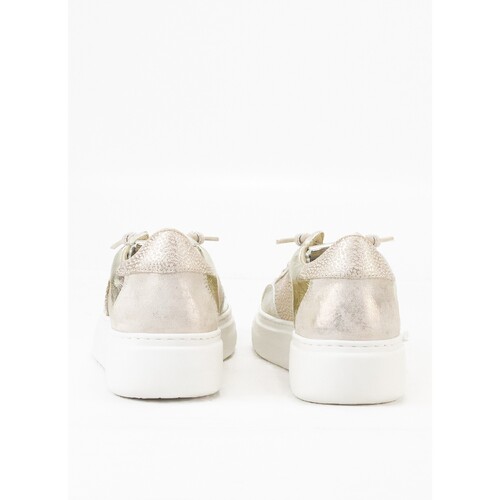Cetti 37439 ORO