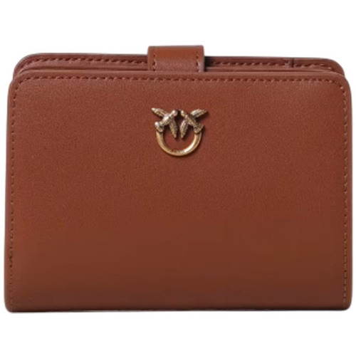 Malas Mulher Bolsa Pinko 103761A0F1 Castanho