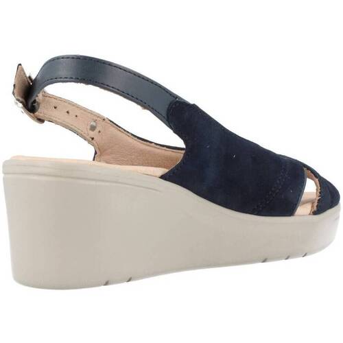 Stonefly TESS 3 Azul