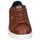 Sapatos Homem Multi-desportos Levi's BELL Castanho