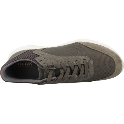 Geox U MONREALE Verde