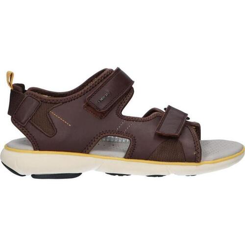 Sapatos Homem Sandálias Geox U926WB 00043 U NEBULA U926WB 00043 U NEBULA