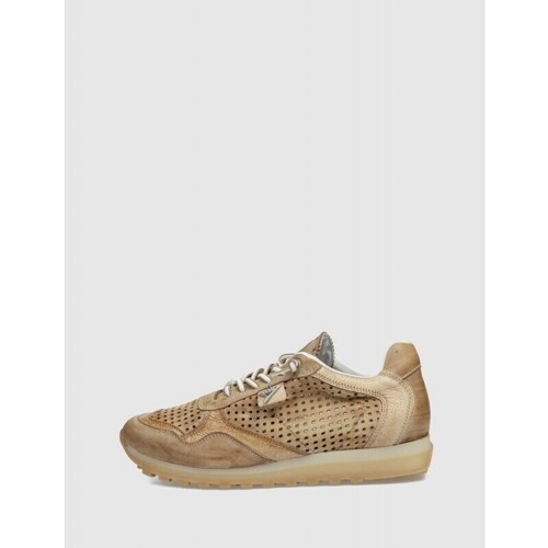 Cetti ZAPATILLA  848 CUERO Castanho