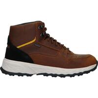 Sapatos Homem Botas Geox U36F0D 00035 U STERRATO B ABX U36F0D 00035 U STERRATO B ABX