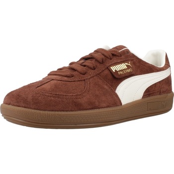 Sapatos Homem Sapatilhas Puma PALERMO Castanho