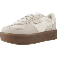 Sapatos Mulher Sapatilhas Puma PALERMO ELEVATA PRM WNS Bege
