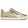 Sapatos Mulher Sapatilhas Geox D466HJ 0AJ22 Ouro