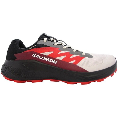 Salomon Alphaglide Gtx Preto, Branco