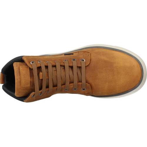 Geox U CERVINO B ABX B Castanho