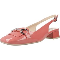 Sapatos Mulher Escarpim NeroGiardini E512331D Outros