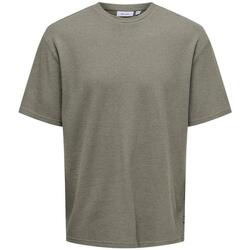 Textil Homem T-shirts e Pólos Only & Sons   Castanho