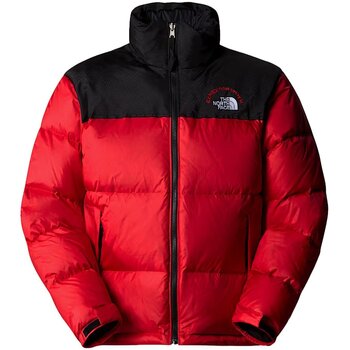 The North Face NF0A3C8D