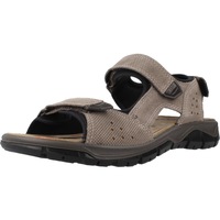 Sapatos Homem Sandálias IgI&CO 7645044IG Cinza