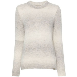 Textil Mulher camisolas Woolrich ALPACA OMBRE WOOL CREWNECK CFWWKN0282 Cinza