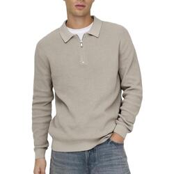 Textil Homem camisolas Only & Sons   Bege