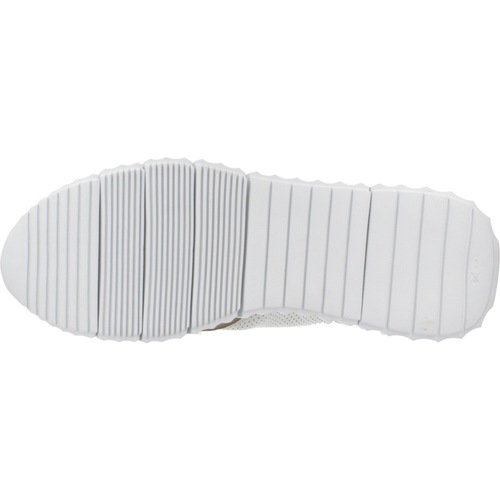 Cetti C1384 V25 Castanho
