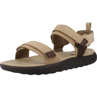Sapatos Homem Chinelos HEYDUDE PHOENIX Castanho