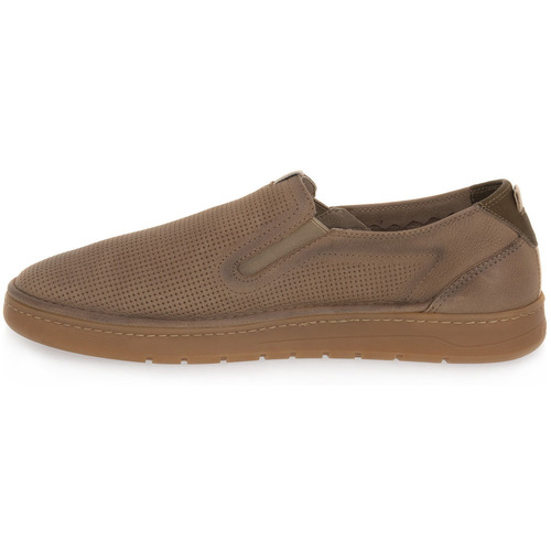 Fluchos VEGABUCK MARMOTTA Castanho
