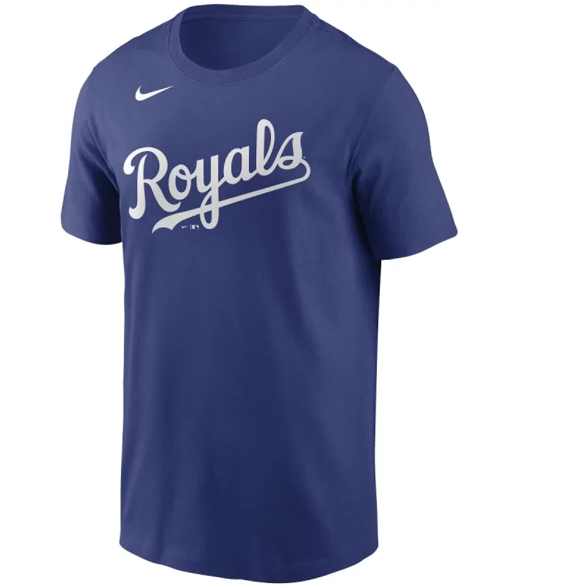 Textil Homem T-Shirt mangas curtas Nike N199-4EW-ROY-M3X Azul
