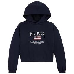 Textil Rapariga Sweats Tommy Hilfiger  Azul
