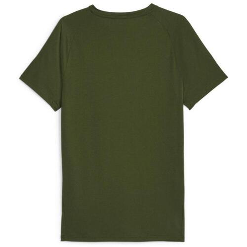 Puma  Verde