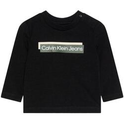 Textil Rapaz T-shirts e Pólos Calvin Klein Jeans  Preto