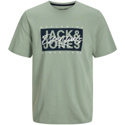 Textil Rapaz T-Shirt mangas curtas Jack & Jones 12269876 JJCOLTON TEE SS CREW NECK JNR ICEBERG GREEN Verde