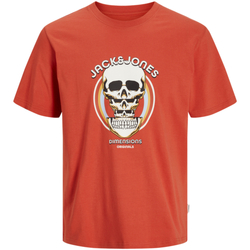 Textil Rapaz T-Shirt mangas curtas Jack & Jones 12274892 JORANATOMY SKULL TEE SS CREW NECK SN JNR SUMMER FIG Laranja