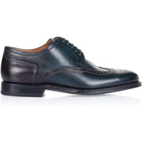 Sapatos Homem Sapatos & Richelieu D&G  Verde