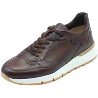 Sapatos Homem Sapatos & Richelieu NeroGiardini E500640U Delavato Castanho