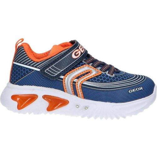 Sapatos Rapaz Sapatilhas Geox J15DZA 00011 J ASSISTER J15DZA 00011 J ASSISTER