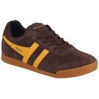Sapatos Homem Sapatilhas Gola Harrier Castanho